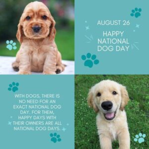 quotes for national dog day